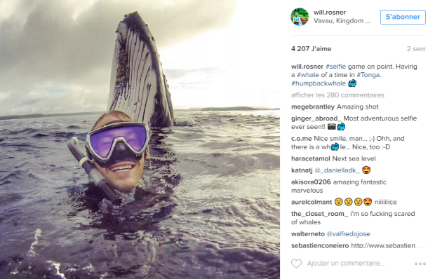 Ce PLONGEUR fait un SELFIE avec... UNE BALEINE !!!