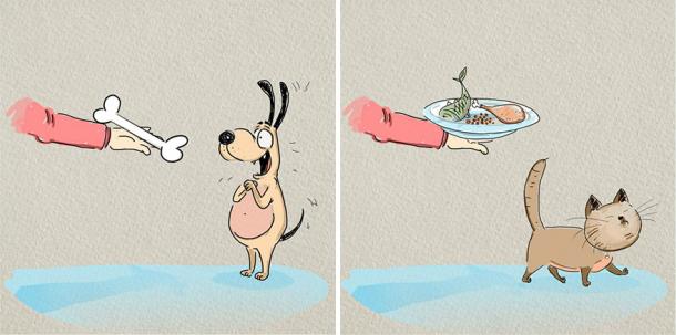 CHAT ou CHIEN : les illustrations qui ont TOUT COMPRIS