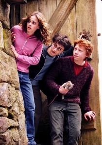 HARRY POTTER : QUI seriez-vous dans le MONDE des SORCIERS ?