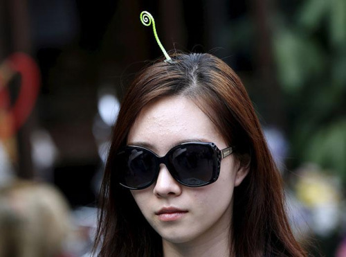 NOUVEAU IT CAPILLAIRE : des plantes en CHEVEUX !