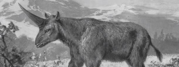 SCIENCE : on a découvert une VRAIE LICORNE !