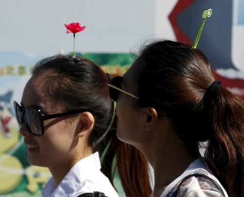 NOUVEAU IT CAPILLAIRE : des plantes en CHEVEUX !