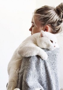 10 CHOSES qui prouvent que votre CHAT se FOUT de VOUS #Enfoiré