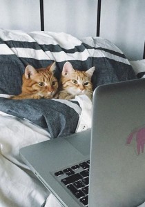 COUPLE : les SÉRIES qu'il faut VOIR pour ne PAS ROMPRE #SuperGlue