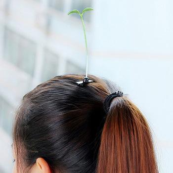 NOUVEAU IT CAPILLAIRE : des plantes en CHEVEUX !