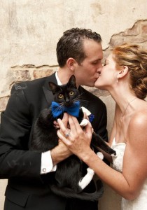 Comment faire l'AMOUR quand on a un CHAT ?