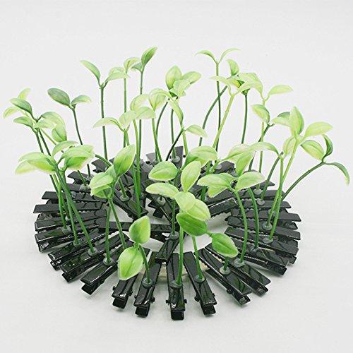 NOUVEAU IT CAPILLAIRE : des plantes en CHEVEUX !