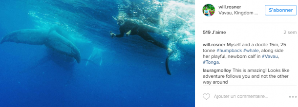 Ce PLONGEUR fait un SELFIE avec... UNE BALEINE !!!