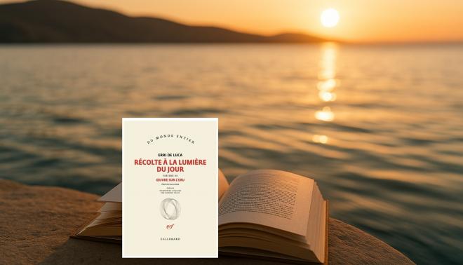 « Récolte à la lumière du jour » de Erri De Luca, l'écriture comme moisson, précédé de "Œuvre sur...