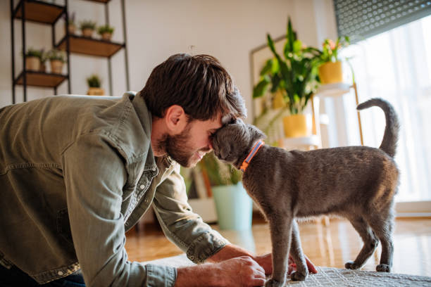 Accueillir un animal de compagnie : les quelques règles indispensables