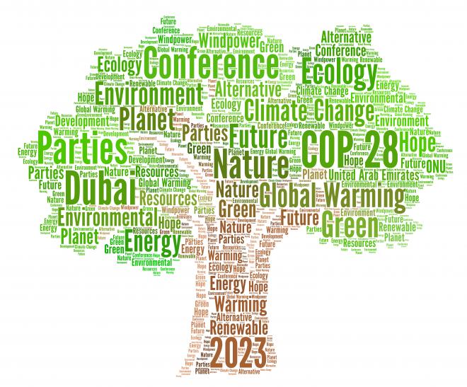 COP 28 : Quels Enjeux Majeurs pour le Climat ?