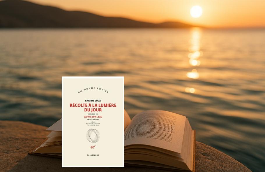 « Récolte à la lumière du jour » de Erri De Luca, l'écriture comme moisson, précédé de "Œuvre sur...
