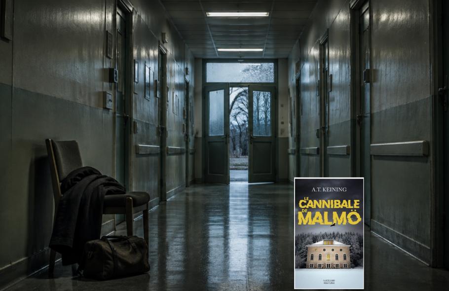 "Le Cannibale de Malmö" d'Alexandra-Thérèse Keining : et si le monstre n'était pas celui qu'on cr...