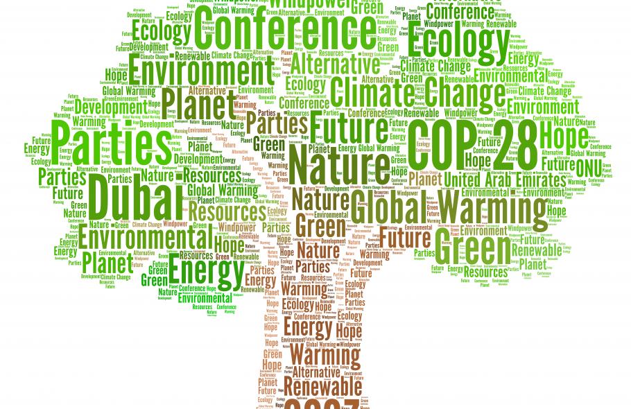 COP 28 : Quels Enjeux Majeurs pour le Climat ?